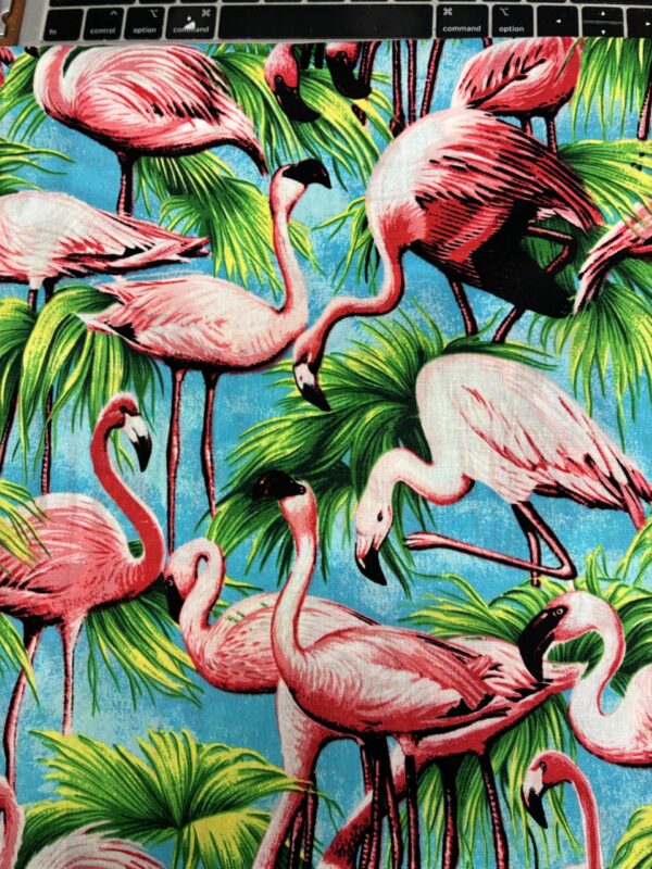 Flamingos in Paradise